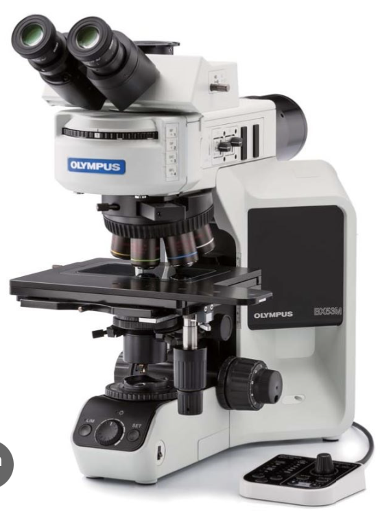 Microscopio BX-53 Evident-Olympus