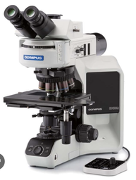[BX-53] Microscopio BX-53 Evident-Olympus